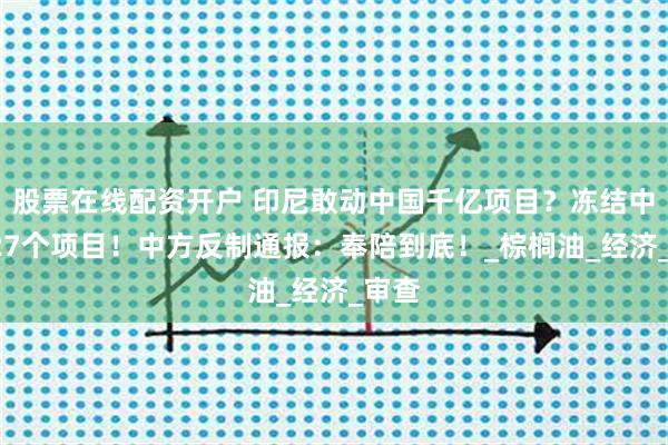 股票在线配资开户 印尼敢动中国千亿项目？冻结中资127个项目！中方反制通报：奉陪到底！_棕榈油_经济_审查