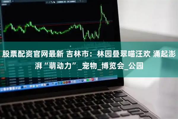 股票配资官网最新 吉林市：林园叠翠喵汪欢 涌起澎湃“萌动力”_宠物_博览会_公园